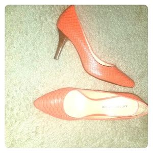 Salmon pump with brown heel